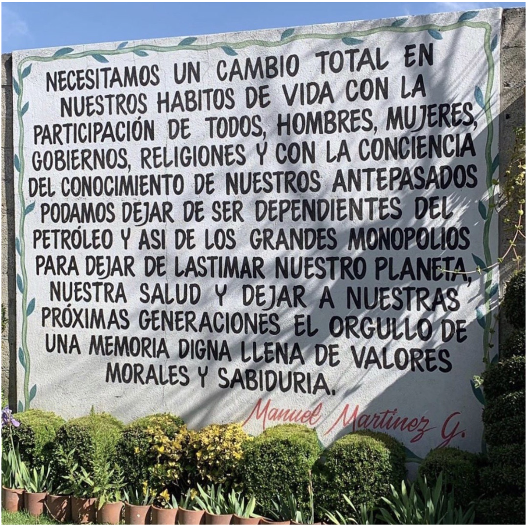 Foto de Marcela Treviño Feria